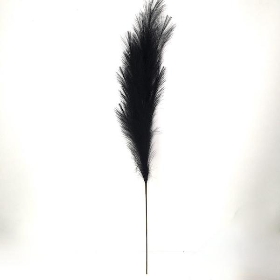 Black Pampas 110cm