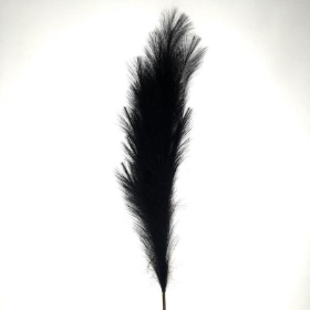 Black Pampas 110cm