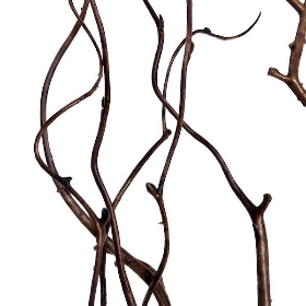 Twig Branches 120cm