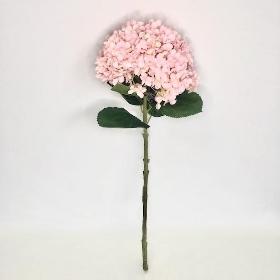 Pink Giant Hydrangea 73cm