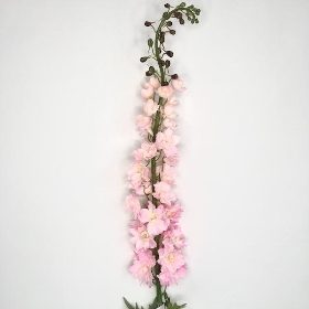 Pink Giant Delphinium 137cm