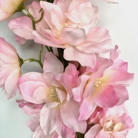 Pink Giant Delphinium 137cm