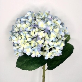 Pale Blue Giant Hydrangea 73cm