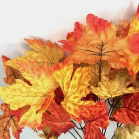 Autumn Maple Bush 50cm