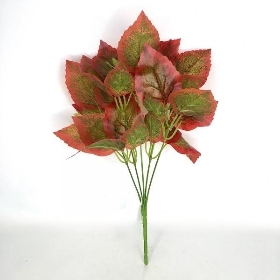 Autumn Coleus Bush 35cm