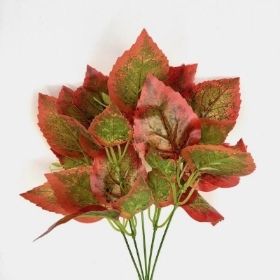 Autumn Coleus Bush 35cm