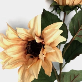 Caramel Sunflower Spray 70cm