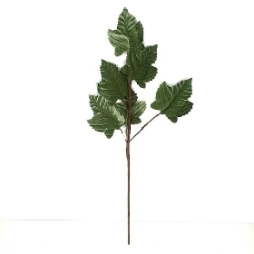 Sage Velvet Maple 68cm