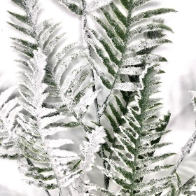 Snowy Fern Spray 71cm