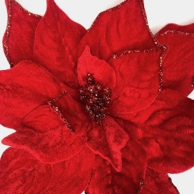 Red Velvet Poinsettia 55cm