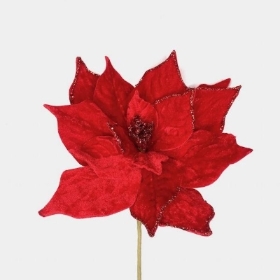 Red Velvet Poinsettia 55cm