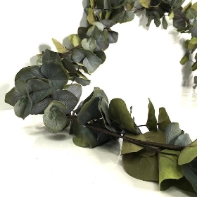 Luxury Green Eucalyptus Garland 180cm