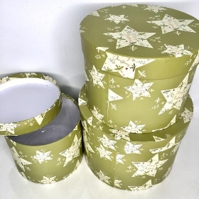 Holly Star Hat Box Set of 3