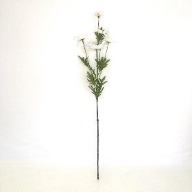 White Marguerite Daisy 70cm