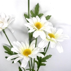 White Marguerite Daisy 70cm