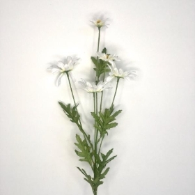 White Marguerite Daisy 70cm