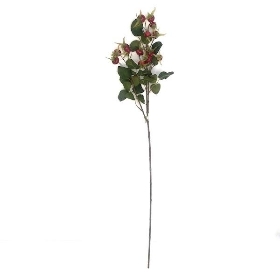 Red Rosehip Spray 86cm