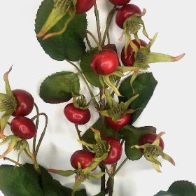 Red Rosehip Spray 86cm