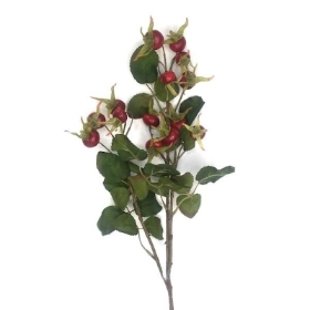 Red Rosehip Spray 86cm