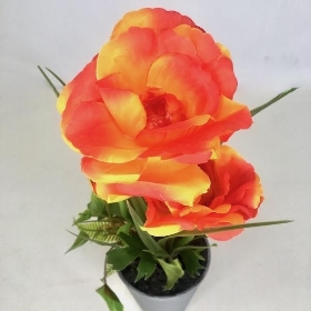 Orange Poppy in Grey Pot