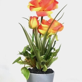 Orange Poppy in Grey Pot