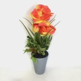 Orange Poppy in Grey Pot