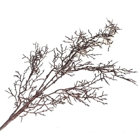 Brown Twig Spray 88cm