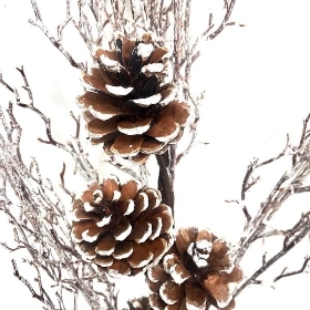 Pinecone & Twig Spray 44cm