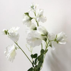 Ivory Sweetpea 68cm