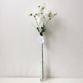 Ivory Sweetpea 68cm