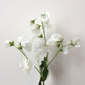 Ivory Sweetpea 68cm