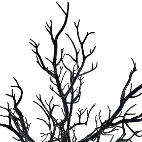 Black Twig Tree 72cm