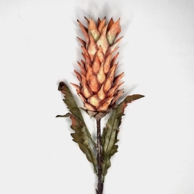 Orange Dried Pineapple 80cm