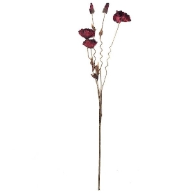 Red Dry Poppy 104cm