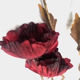 Red Dry Poppy 104cm