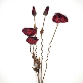 Red Dry Poppy 104cm