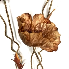 Brown Dry Poppy 104cm