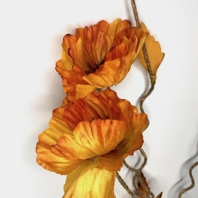 Yellow Dry Poppy 104cm