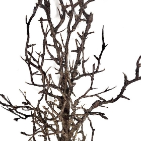 Brown Artificial Tree Branch 100cm