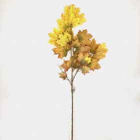 Yellow Brown Sycamore 110cm