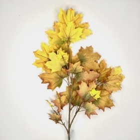 Yellow Brown Sycamore 110cm