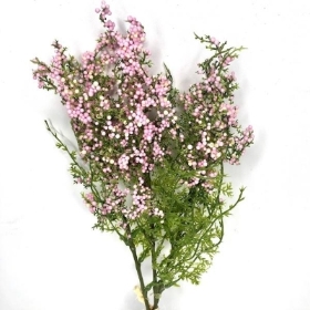 Pink Green Heather Spray 50cm