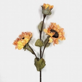 Yellow Dried Sunflower 51cm