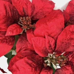 Red Velvet Poinsettia Bush 47cm