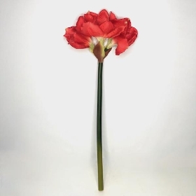 Red Amaryllis 75cm