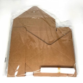 Kraft Envelope Box x 10