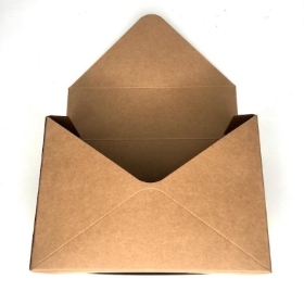 Kraft Envelope Box x 10