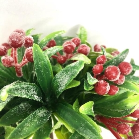 Frosted Red Berry Bush 14cm