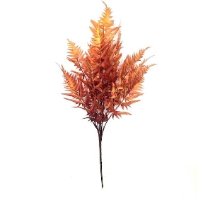 Orange Autumn Hardy Fern 55cm