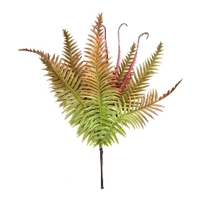 Green Orange Autumn Ladder Fern 46cm